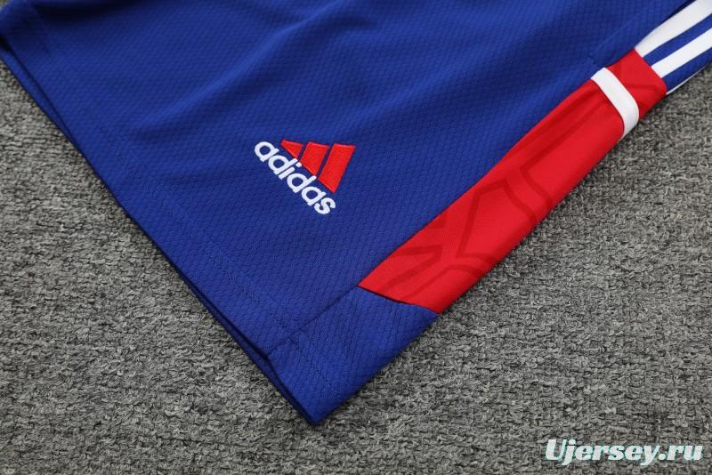 23-24 Bayern Munich Red/Blue Vest Jersey+Shorts