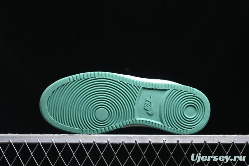 Nike Court Vision Lo 2025 Year of the Snake Theme Campus Casual Sneakers - CD5463-100