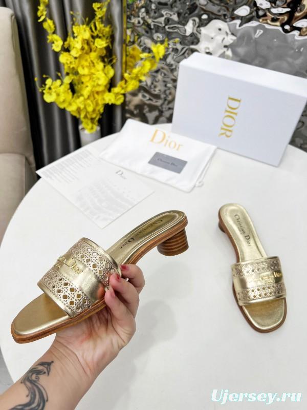 2025 Women Dior Gold Leather Slides