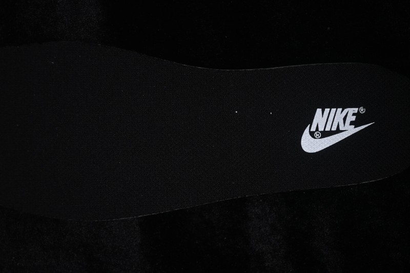 Nike SB Dunk Low Skateboarding Shoes with Cushioned Collar - IO7606-010