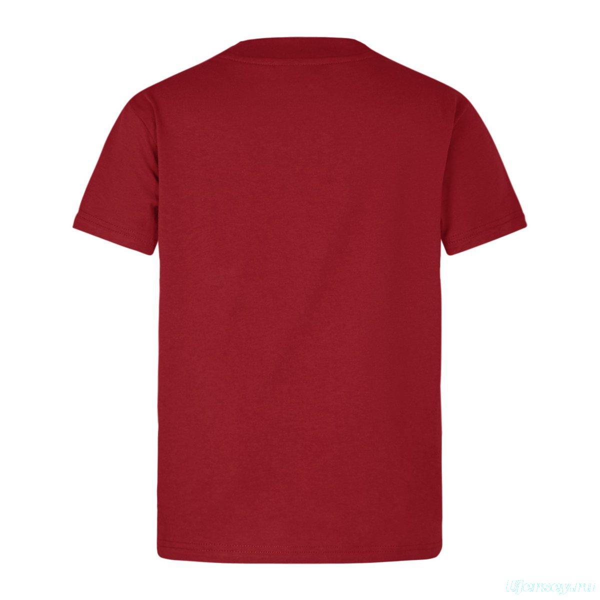 2025 British & Irish Rugby Jersey